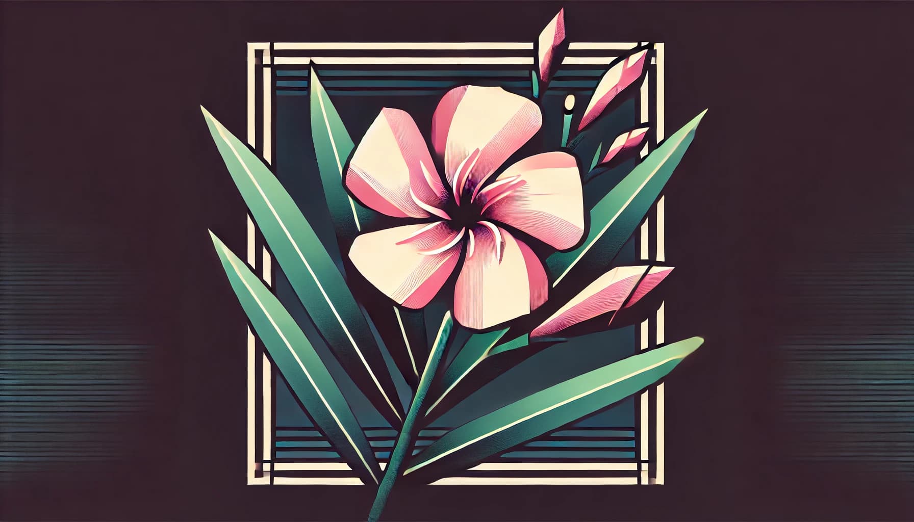 Nerium plant